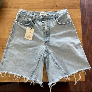 Agolde Shorts - Baggy Mid-rise